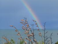 Albums/20060200-New Zealand 2006/20060313-Catlins/63